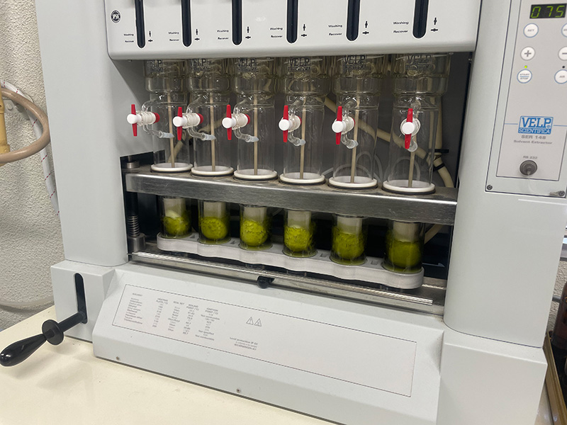 栄養分析及び消化吸収率の解析