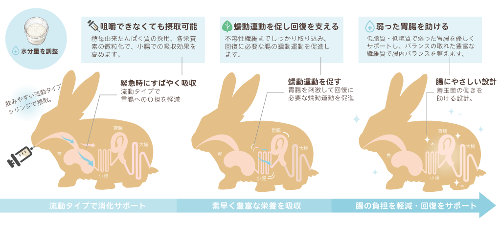 流動タイプで急速吸収・腸が動いている・負担が和らいでいるイメージ