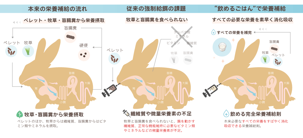 本来の栄養補給／従来の課題／飲めるごはんの状態を示す図