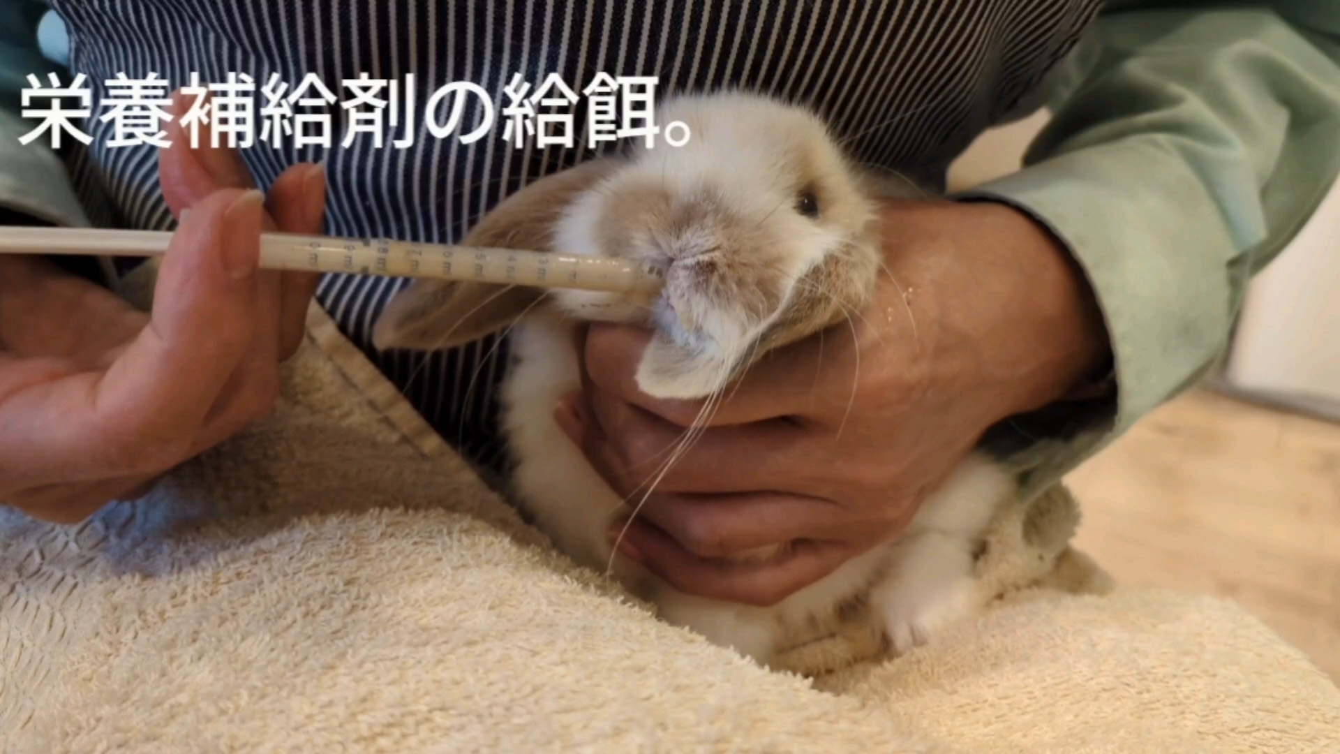 飲ませ方動画のサムネイル